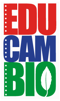 Educambio